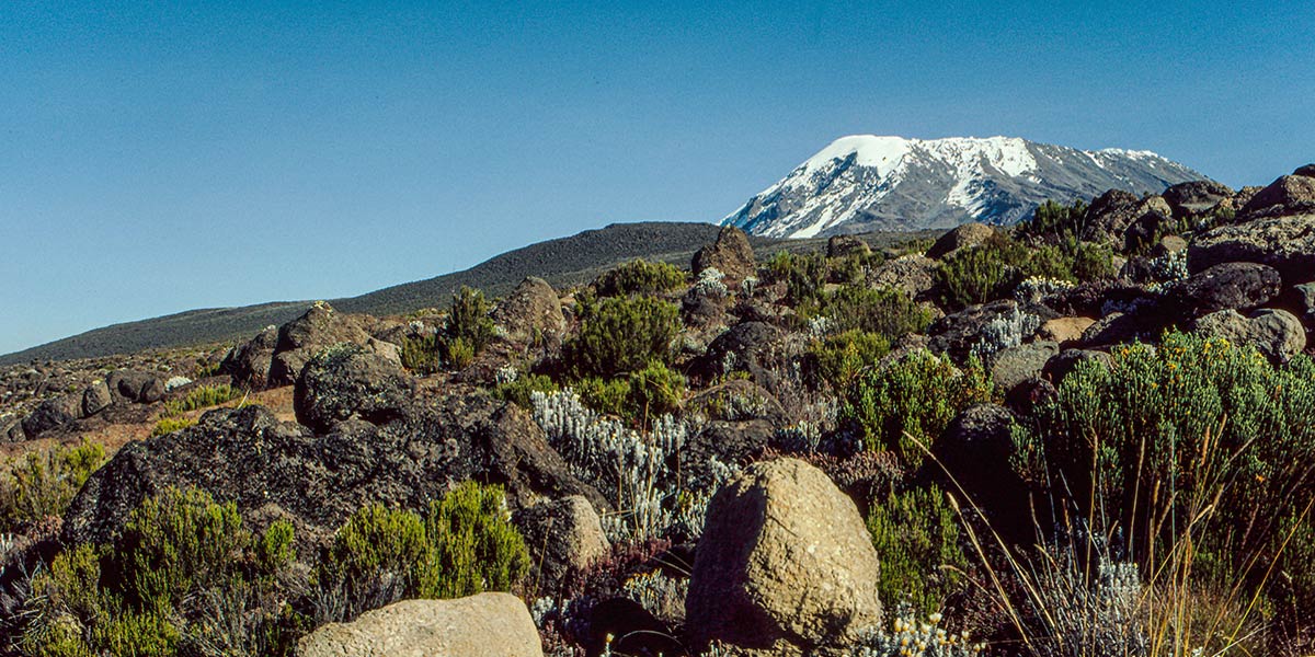 mount-kilimanjaro-national-park