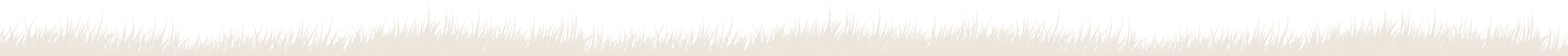Grass-Banners-OK